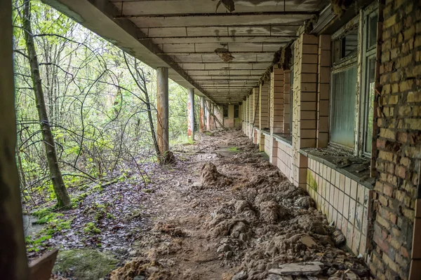 Pripyat abandoned school