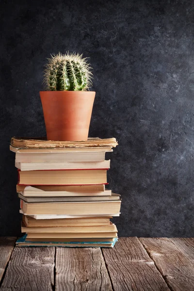 Cactus pot plant on pile of books
