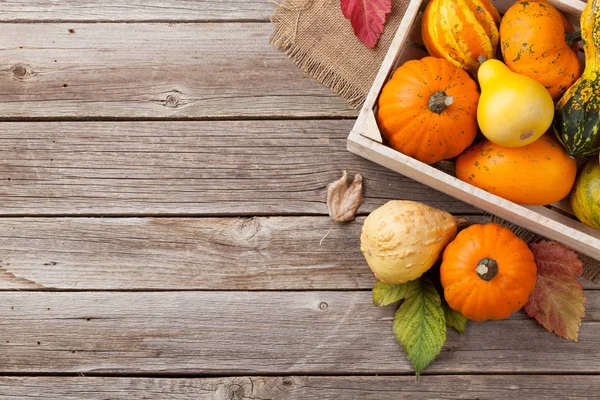 Autumn pumpkins on wooden boards