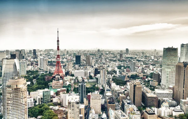 Tokyo skyscrapers and Tokyo Tower aerial view