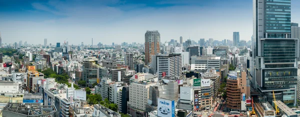 TOKYO - MAY 23, 2016: Panoramic view of city skyline from roofto
