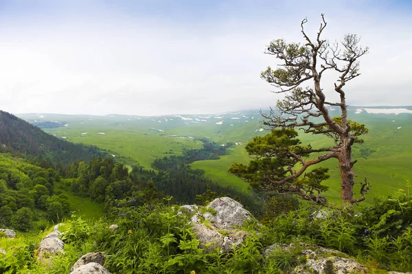 Mountain landscape. Valley view.