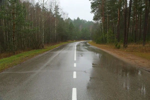 Autumn Wet Road