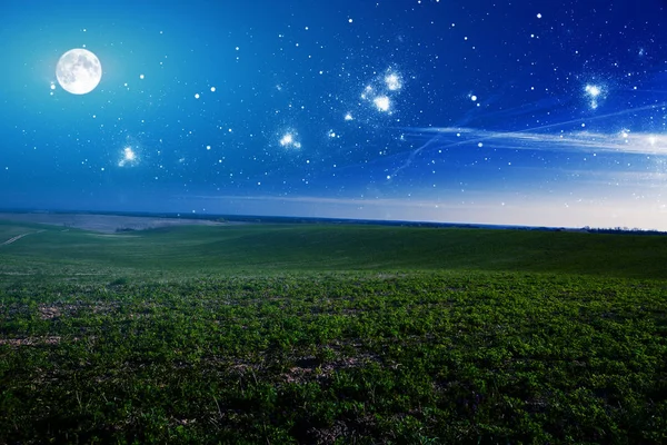 Green night field. star sky