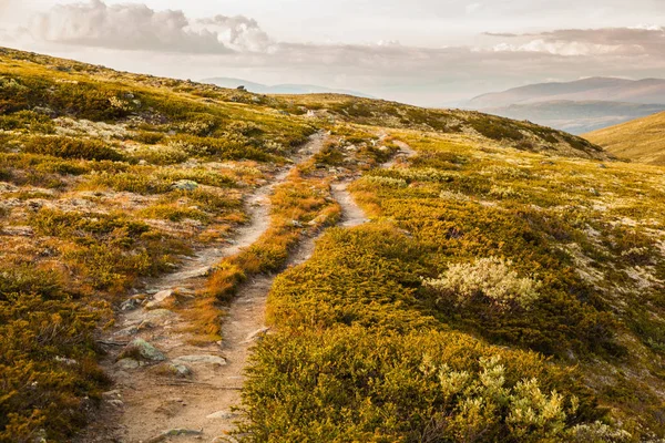 Mountain landscape Norway national park Dovre