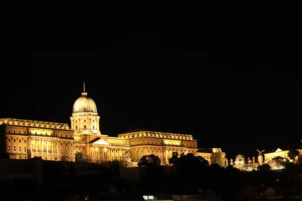 Illuminated Budapest royal castle by night