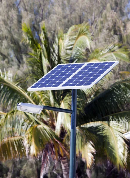 Lamp with the solar battery in tropics