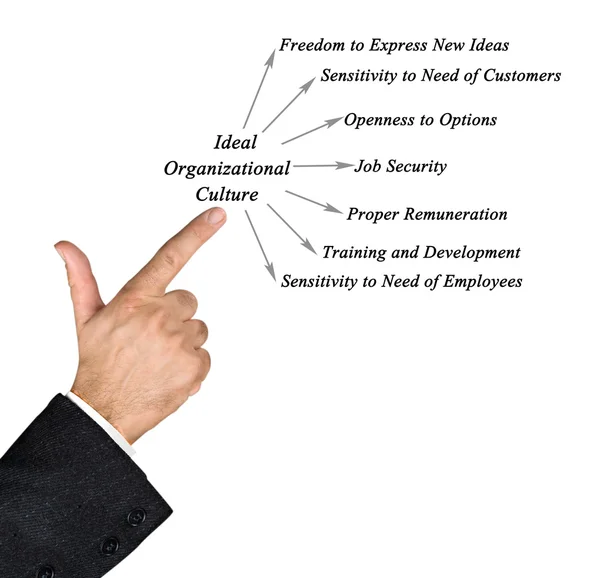 Diagram of Ideal Organizational Culture