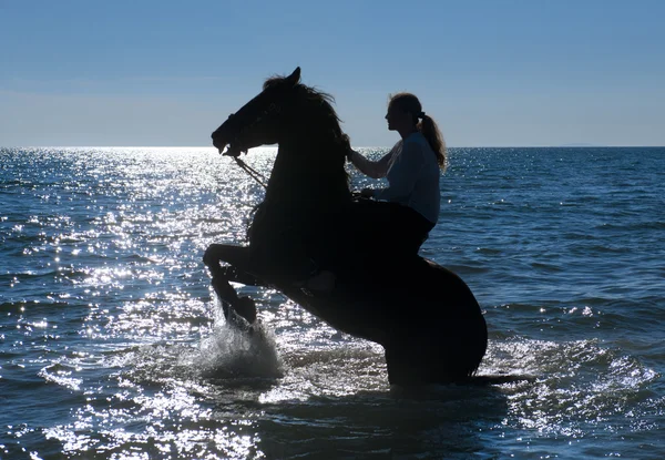 Horse woman in the sea