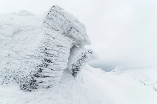 Winter landscape with hoarfrost on a rock