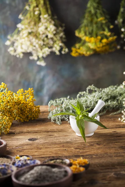Medical herbs, natural remedy and mortar