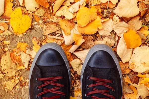 Autumn season and young man feet in sneakers from above