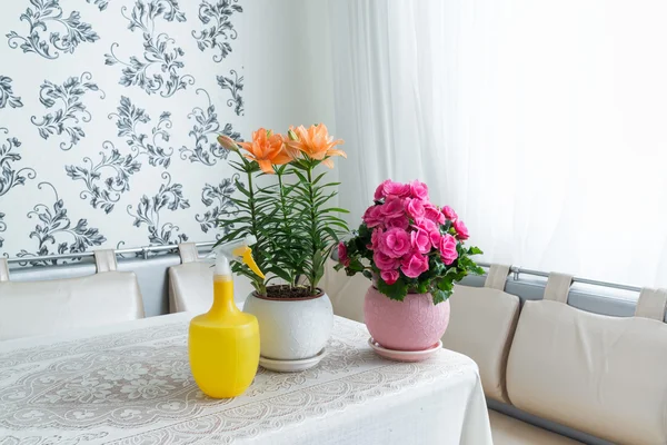Several potted flowers and sprayer are on table in the room