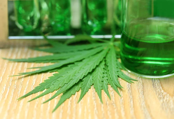 Cannabis leaves in laboratory