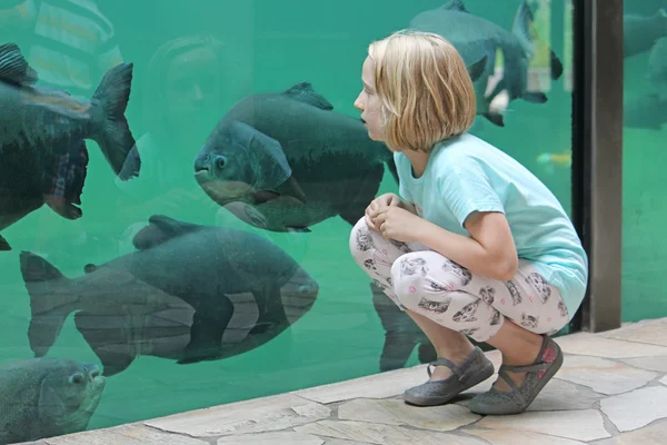 Child girl watching sea fishes in a big aquarium