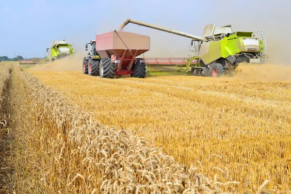 Overloading grain harvester into the grain tank of the tractor trailer