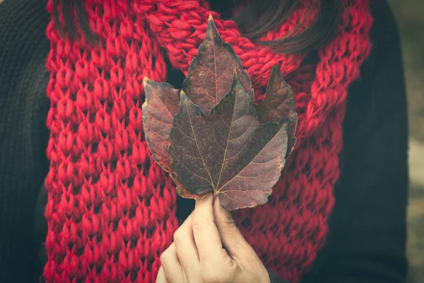 Closeup of woman hand with autumn leaves outdoor