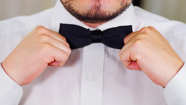 Closeup mans chest wearing white shirt, tying bowtie using hands, face partly visible, men getting dressed concept