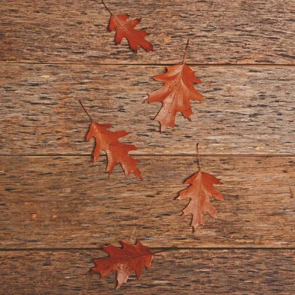 Autumn leaves on wooden background - Flat lay