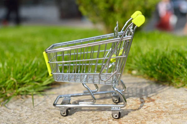 Empty mini shopping cart