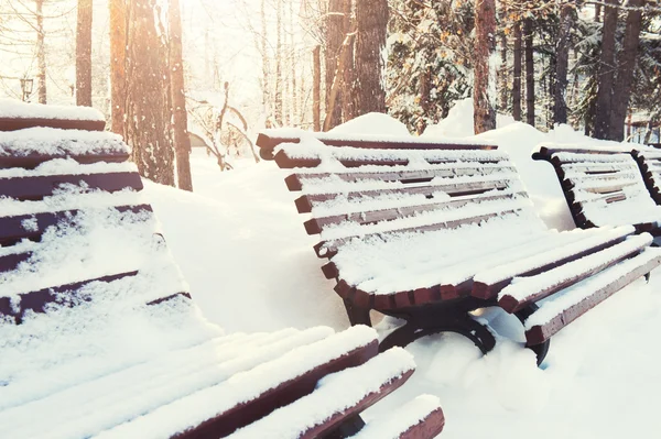 Snow-covered benches in the park.