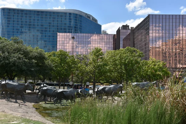 The Cattle Drive Sculpture at Pioneer Plaza in Dallas, Texas