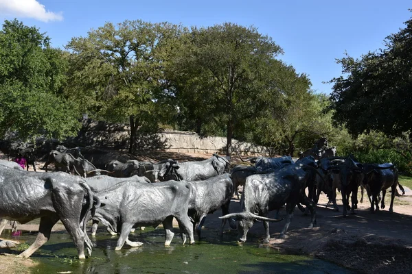 The Cattle Drive Sculpture at Pioneer Plaza in Dallas, Texas