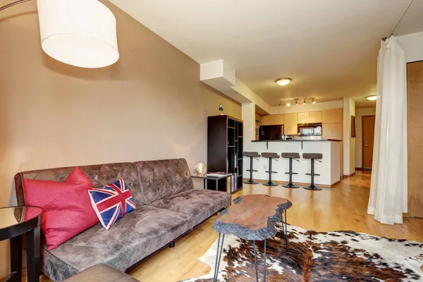 Apartment interior with minimalist design