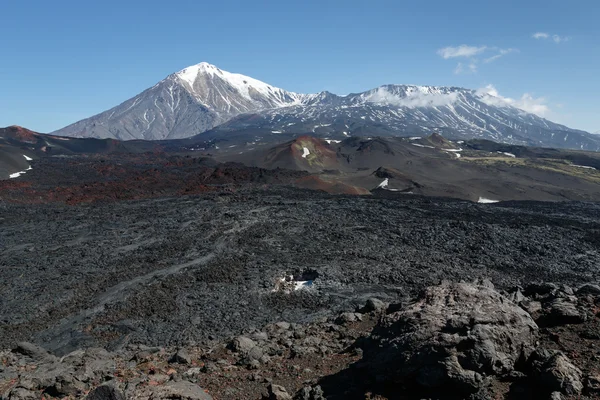 Kamchatka Peninsula: summer volcanic landscape