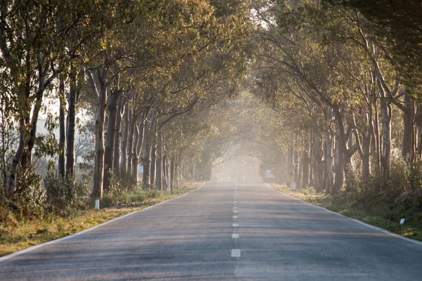 Long straight road