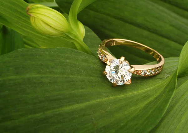 Jewellry ring with big diamond on green leafs background, copysp