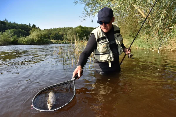 Fisherman catching sea trout