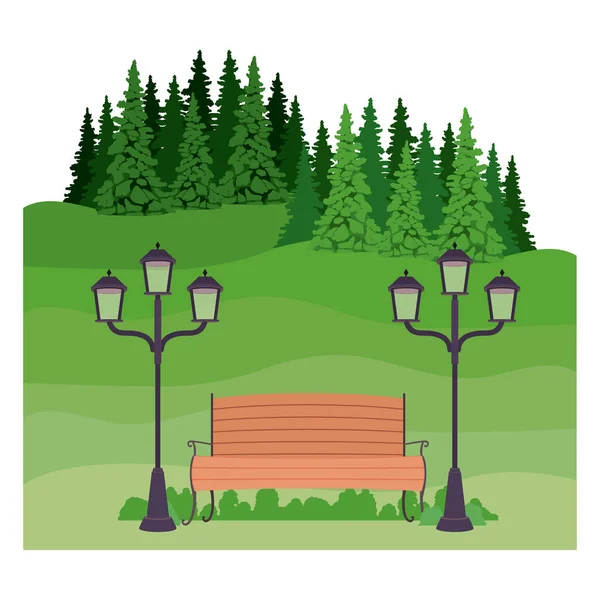 Isolated bench trees and lamp of park design