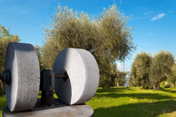 Old Olive Press and Olive Trees - Italy