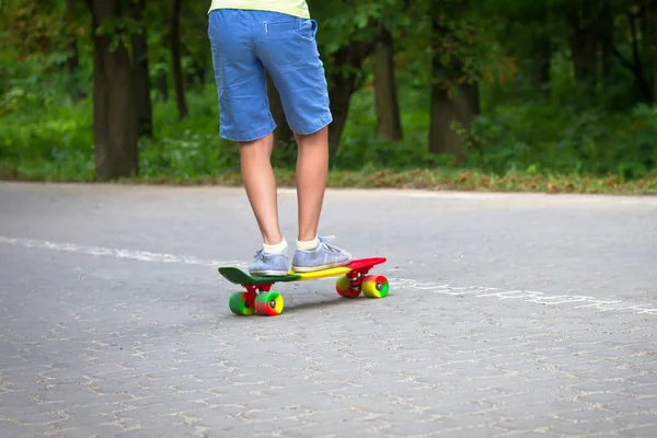 Adorable toddler boy having fun with colorful skateboard outdoors in the park