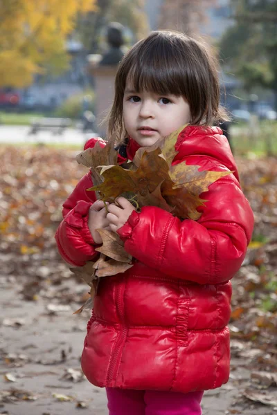 Autumn games in the park