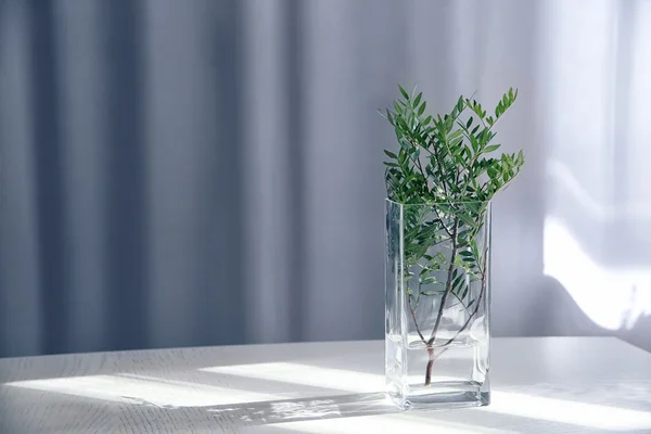 Green twig in glass vase on wooden table indoors