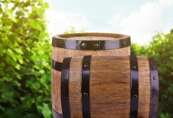 Wine with barrel on vineyard