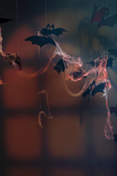 Paper bats and spider web on dark background as Halloween decor