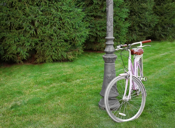 Bicycle parked near street lantern on green lawn