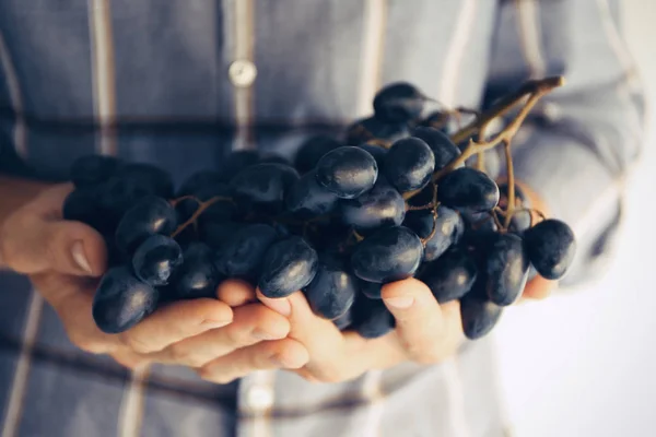 Hands with bunch of grapes