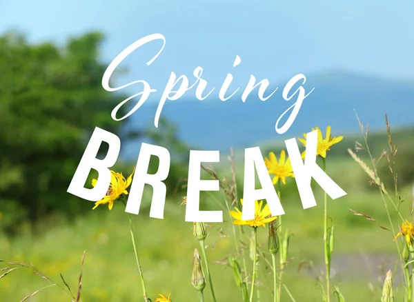 Spring break Stock Photos, Illustrations and Vector Art | Depositphotos®