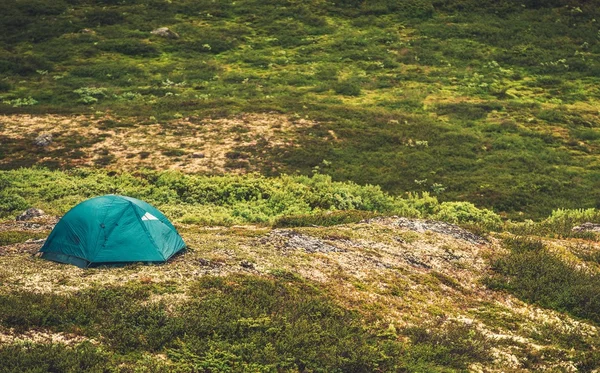 Tent Camping in the Wild