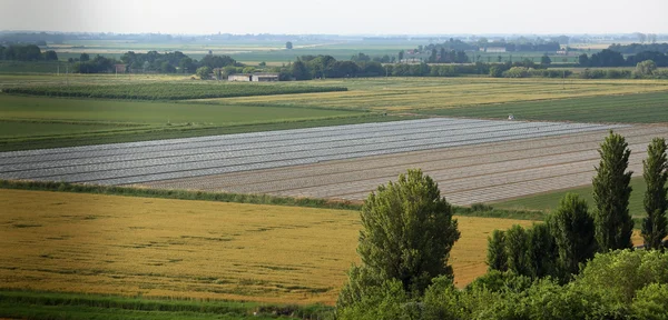 Cultivated fields in the wide Po Valley in Italy