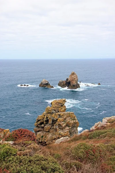 Cap Sizun, rocks and low vegetation, a day of quiet time (Brittany, Finistere, France)