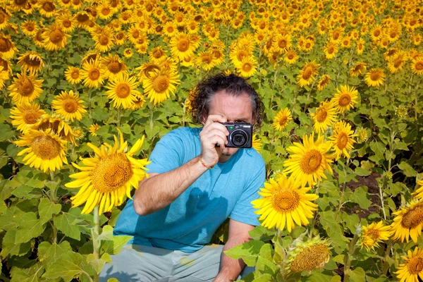 Man shoots at the camera sunflowers