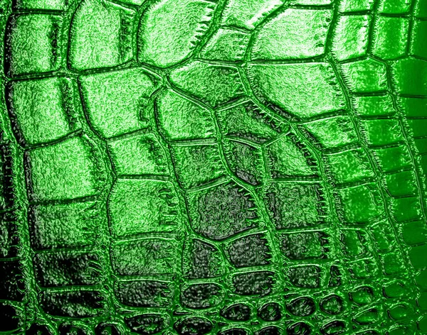 Crocodile green leather, can use as background