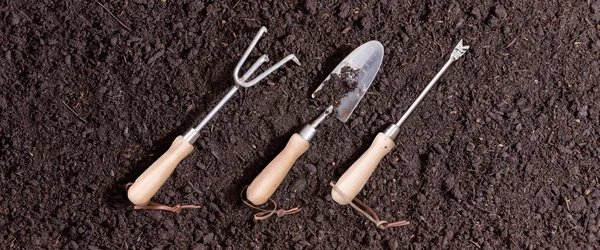 Three small garden tools on soil