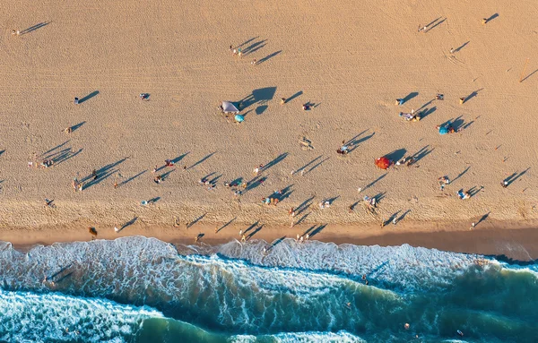 Aerial view from above on Santa Monica beach