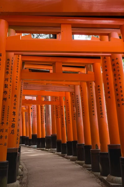 Look through multiple torii at Fushimi Inari Taisha Shinto Shrin